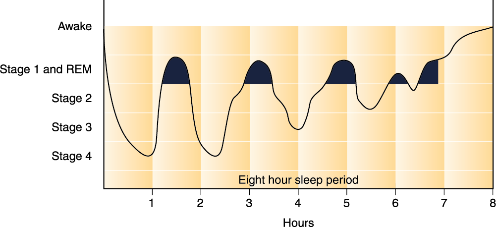 Sleep chart