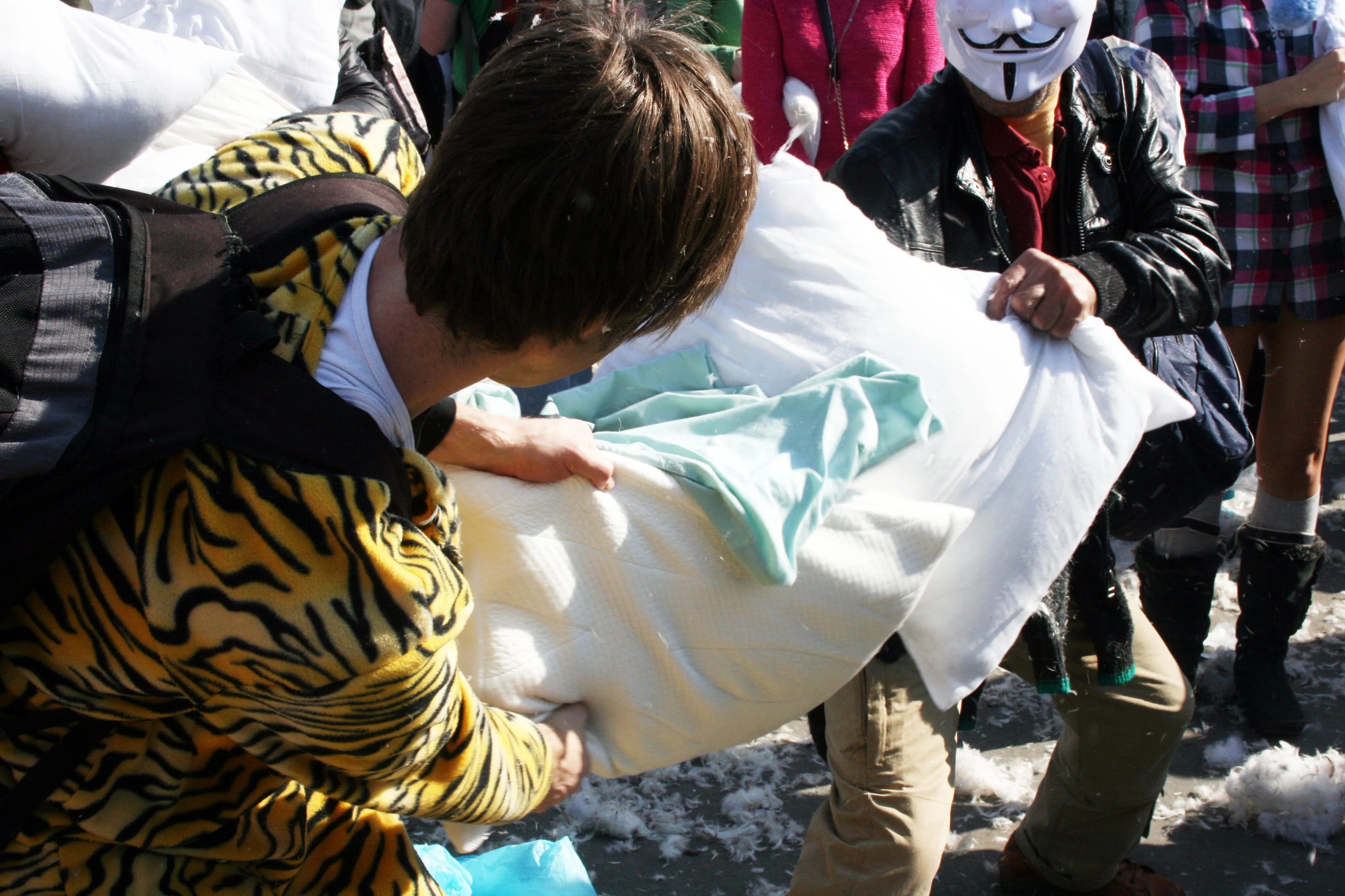 PillowFight3