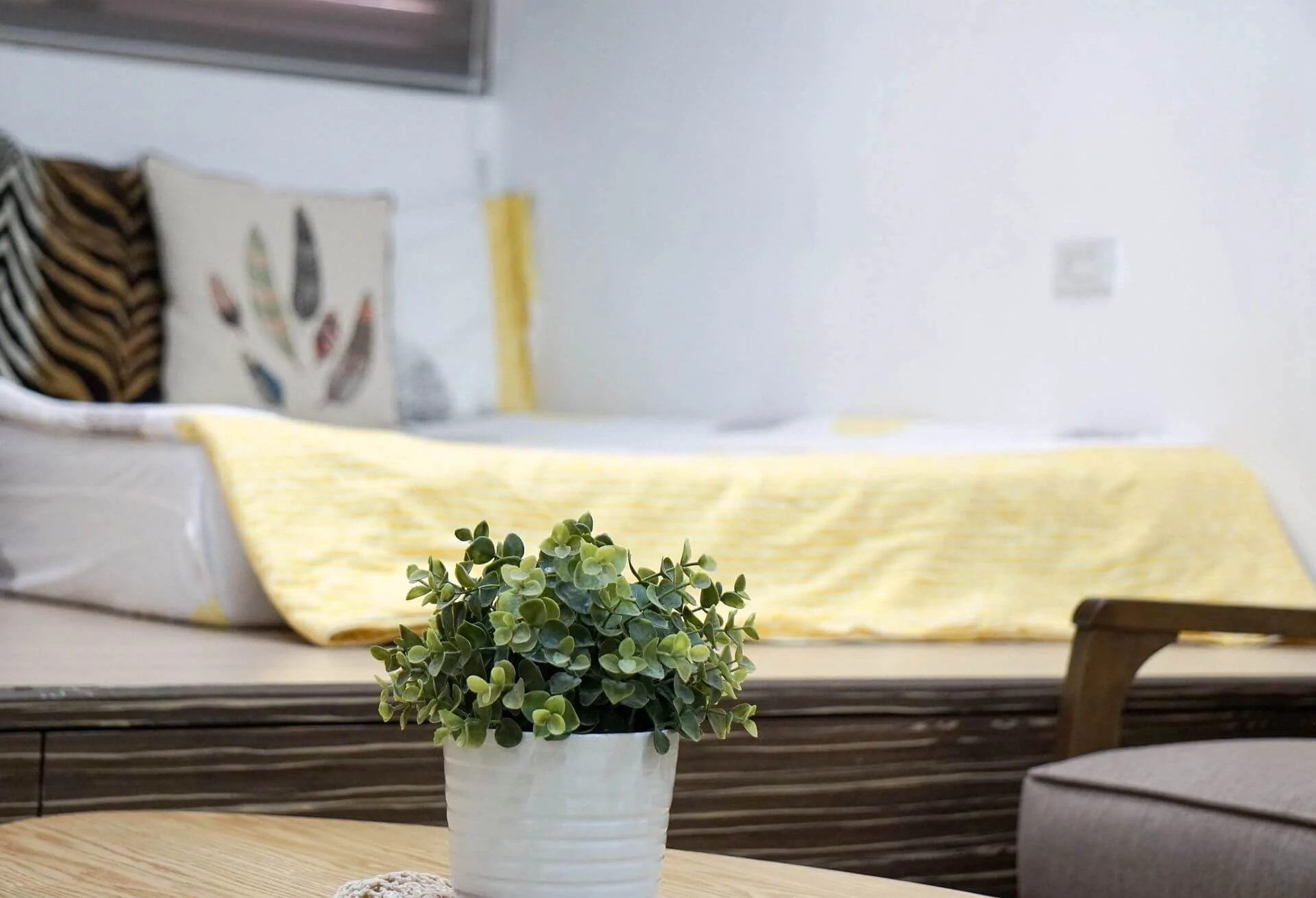 guest-room-plant
