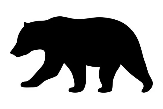 bear chronotype vector art black and white